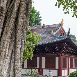 Guangxiao Temple, Guangzhou Photo #7 by llee_wu from flickr