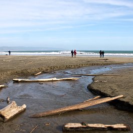 Drakes Beach, Santa Rosa Photo #6 by Don DeBold from flickr