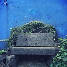 Frida Kahlo Museum, Mexico City Photo #4 by ღ ℂℏ℟ḯʂ ღ from flickr