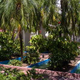Lincoln Road, Miami Photo #4 by Ed Webster from flickr