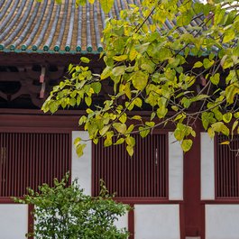 Guangxiao Temple, Guangzhou Photo #6 by llee_wu from flickr