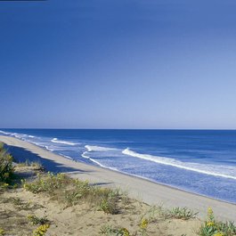 Nauset Beach, Massachusetts Photo #2 by Massachusetts Office Of Travel & Tourism from flickr