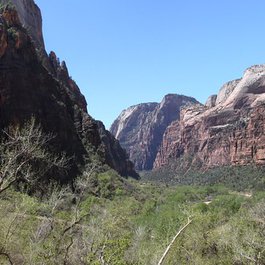 Weeping Rock, Zion National Park Photo #6 by odonata98 (Kimberly Reinhart) from flickr