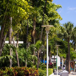 Lincoln Road, Miami Photo #2 by Ed Webster from flickr