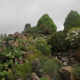 Botanical Garden, Copenhagen Photo #7 by Matthew Black from flickr