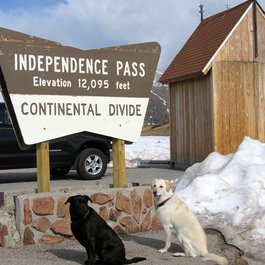 Independence Pass, Aspen Photo #4 by Brad Patterson from flickr