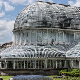 Botanic Gardens, Belfast Photo #5 by William Murphy from flickr