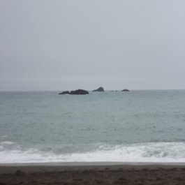 Goat Rock Beach, Santa Rosa Photo #8 by aaron_anderer from flickr