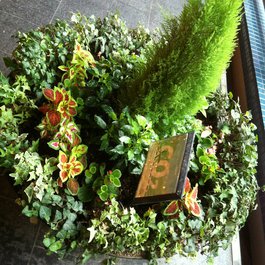 Canal City Hakata, Fukuoka Photo #4 by coloredby from flickr