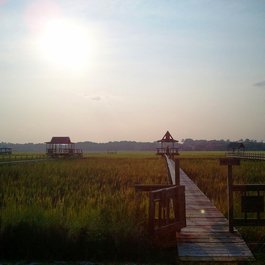 Pawleys Island, South Carolina Photo #1 by Anthony from flickr