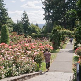 International Rose Test Garden, Portland Photo #6 by Scarlet Sappho from flickr