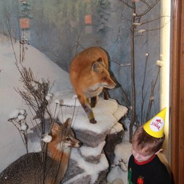 Buffalo Museum Of Science, Buffalo Photo #6 by Anthony Sokolik from flickr