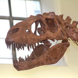 Buffalo Museum Of Science, Buffalo Photo #4 by Anthony Sokolik from flickr