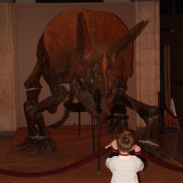 Buffalo Museum Of Science, Buffalo Photo #7 by Anthony Sokolik from flickr
