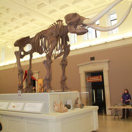 Buffalo Museum Of Science, Buffalo Photo #5 by Anthony Sokolik from flickr