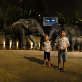 Night Safari, Singapore Photo #7 by Marc van der Chijs from flickr
