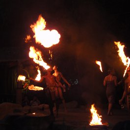 Night Safari, Singapore Photo #8 by Marc van der Chijs from flickr