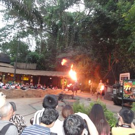 Night Safari, Singapore Photo #9 by Marc van der Chijs from flickr
