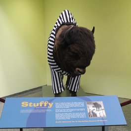 Buffalo itinerary, Buffalo Museum Of Science