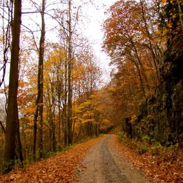 Pisgah National Forest, North Carolina Photo #8 by Jeff Gunn from flickr