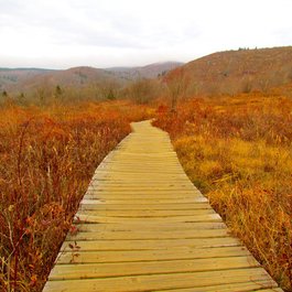 Pisgah National Forest, North Carolina Photo #6 by Jeff Gunn from flickr