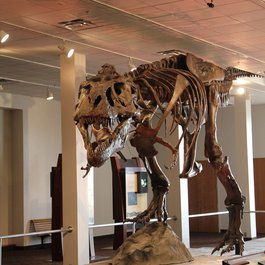 Rochester Museum & Science Center, Rochester Photo #5 by Anthony Sokolik from flickr