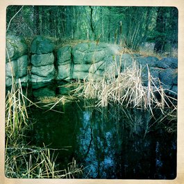 High Desert Museum, Bend Photo #6 by Justin Houk from flickr