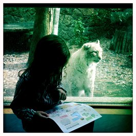High Desert Museum, Bend Photo #3 by Justin Houk from flickr