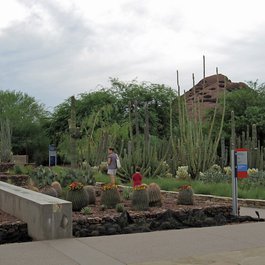 Desert Botanical Garden, Tempe Photo #3 by Scarlet Sappho from flickr
