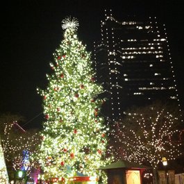 Sundance Square, Fort Worth Photo #3 by Jim Gillette from flickr