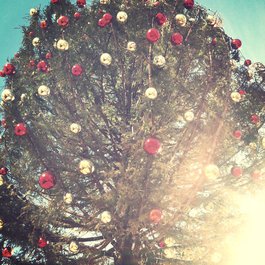 Crown Center, Kansas City Photo #7 by Lauren Cunningham from flickr