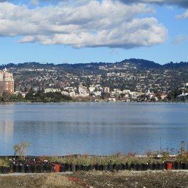 Lake Merritt, Oakland Photo #2 by sfbaywalk from flickr