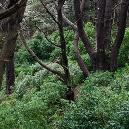 Mount Victoria, Wellington Photo #4 by Jeff Hitchcock from flickr