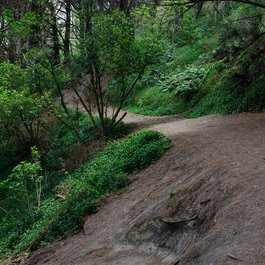 Mount Victoria, Wellington Photo #5 by Jeff Hitchcock from flickr