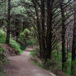 Mount Victoria, Wellington Photo #2 by Jeff Hitchcock from flickr