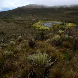 Laguna Verde, Bolivia Photo #9 by Luis Alejandro Bernal Romero http://aztlek.com from flickr