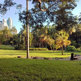 Brisbane City Botanic Gardens, Brisbane Photo #6 by Marit & Toomas Hinnosaar from flickr