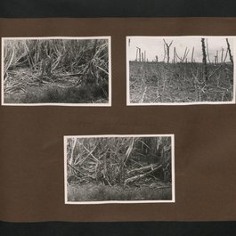 Mahebourg, Mauritius Photo #9 by The National Archives UK from flickr