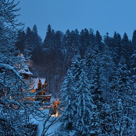 Peleș Castle, Brasov Photo #4 by fusion-of-horizons from flickr