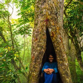 Kodaikanal, Madurai Photo #1 by Thangaraj Kumaravel from flickr