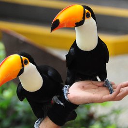 Jurong Bird Park, Singapore Photo #9 by Michael Gwyther-Jones from flickr