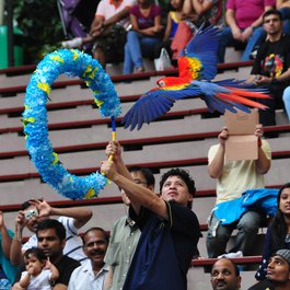 Jurong Bird Park, Singapore Photo #6 by Michael Gwyther-Jones from flickr
