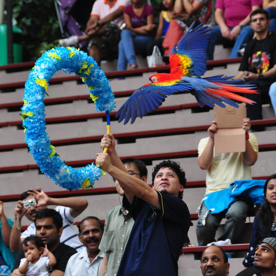 Jurong Bird Park, Singapore