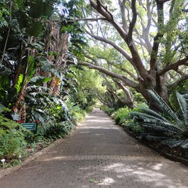 Kirstenbosch National Botanical Garden, Cape Town Photo #7 by Luiz Gadelha Jr. from flickr