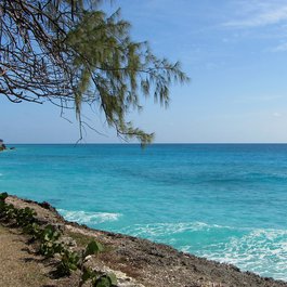 Miami Beach, Barbados, Barbados Photo #2 by Loozrboy from flickr