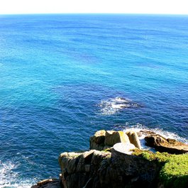 The Minack Theatre, Cornwall Photo #6 by Ozzy Delaney from flickr