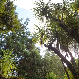 Pukekura Park, New Plymouth Photo #4 by Donna Rutherford from flickr