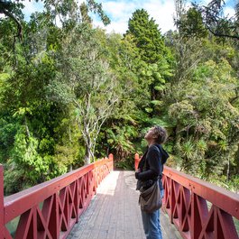 Pukekura Park, New Plymouth Photo #5 by Donna Rutherford from flickr