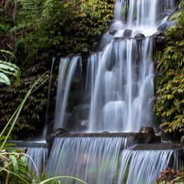 Pukekura Park, New Plymouth Photo #3 by Donna Rutherford from flickr