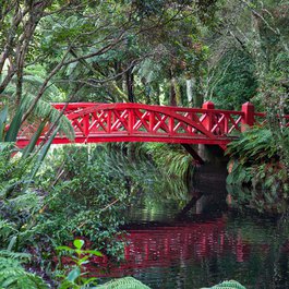 Pukekura Park, New Plymouth Photo #2 by Donna Rutherford from flickr